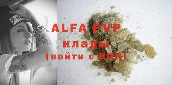 эйфоретик Алзамай