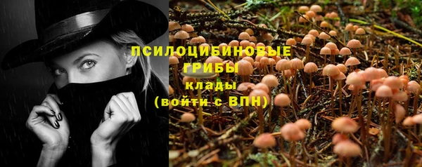 эйфоретик Алзамай