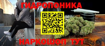 альфа пвп Заводоуковск